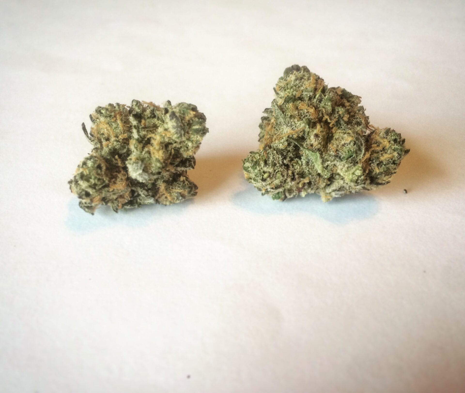 Juicy Fruit Weed Strain Juicy Fruit Weed Strain