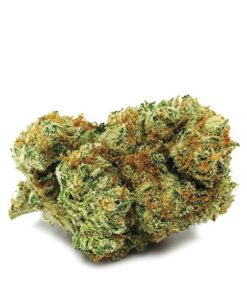Jungle Cake Strain
