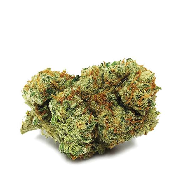 Jungle Cake Strain Jungle Cake Strain