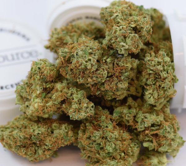 Larry OG Kush Larry OG Kush
