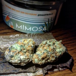 Mimosa Smart Buds Mimosa Smart Buds
