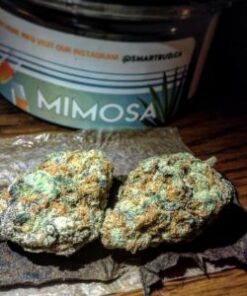 Mimosa Smart Buds