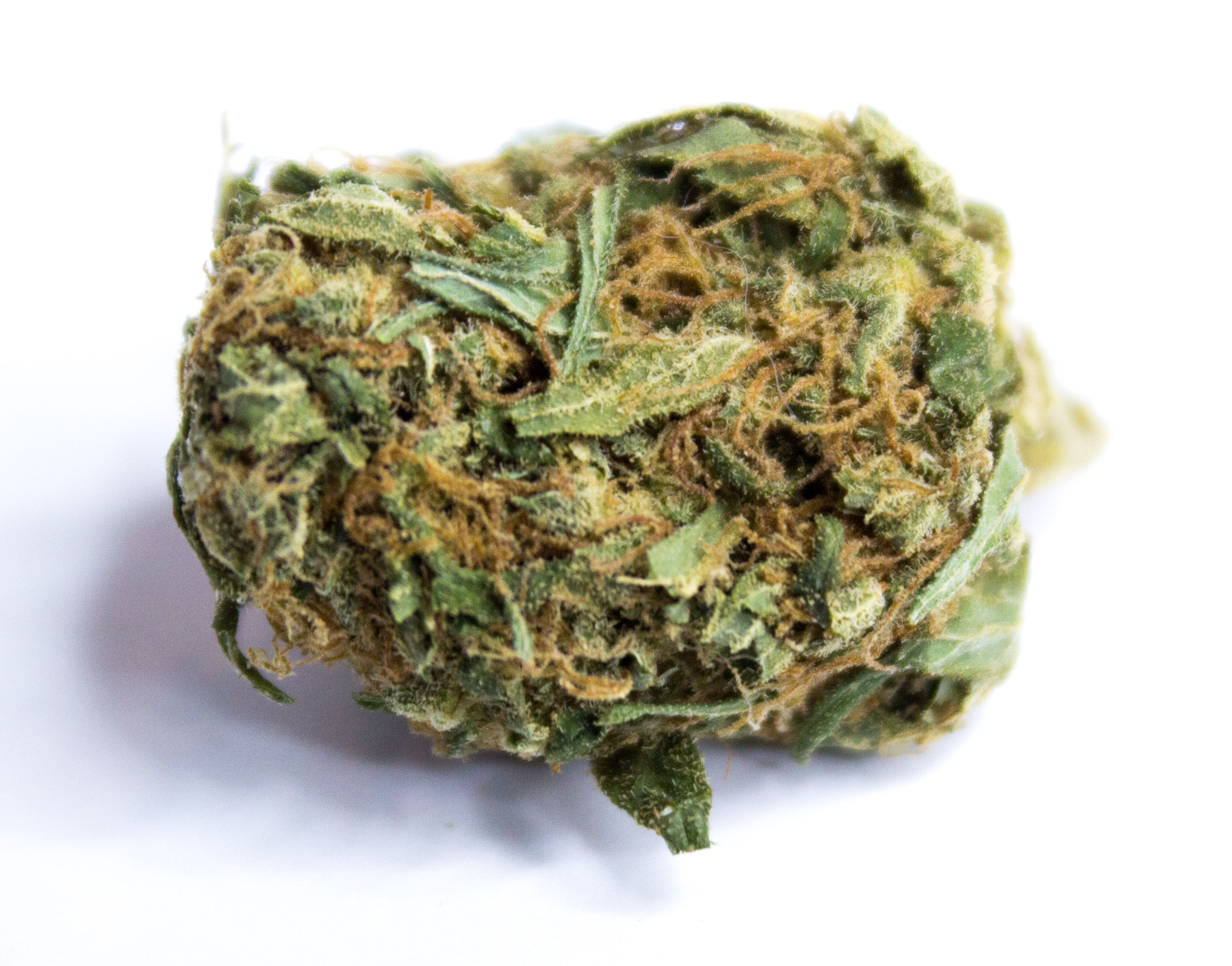 Mr Nice Guy Weed Strain Mr Nice Guy Weed Strain