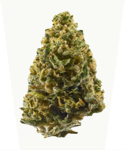 Northern Lights Strains