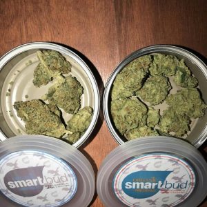 Smart Carts-300x300-1 Smart Carts