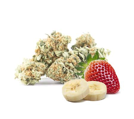 Strawberry Banana Kush Strawberry Banana Kush
