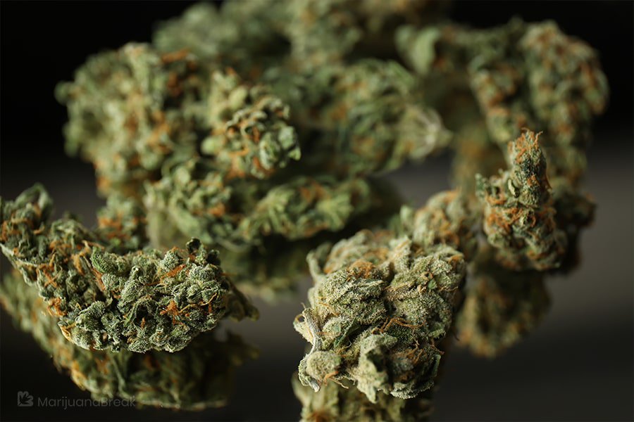 Strawberry Banana Kush Strawberry Banana Kush