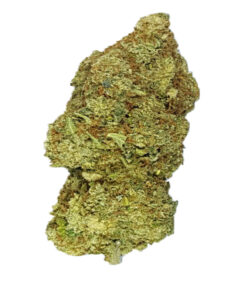 Island Sweet Skunk