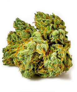 Tahoe OG Kush