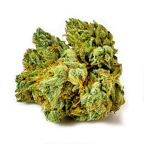 Tahoe OG Kush Tahoe OG Kush