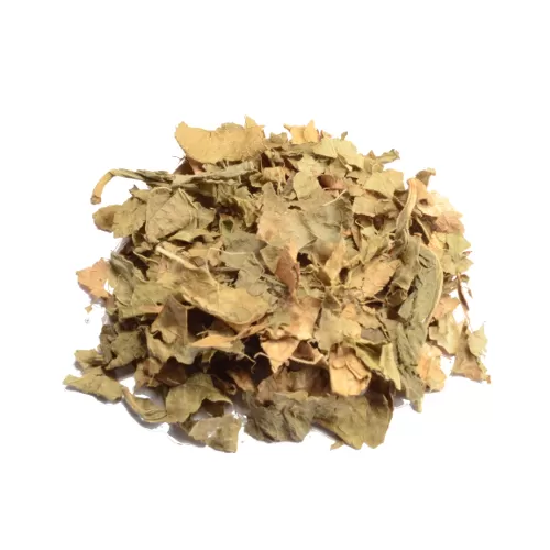 Koop Bay Bean 250 Gram (Canavalia Maritima) Koop Bay Bean 250 Gram (Canavalia Maritima)