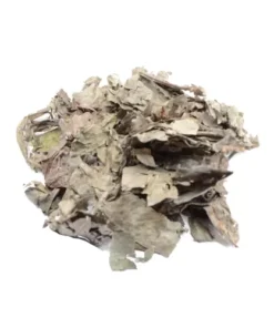 Koop Psychotria Carthagenensis (Amyruca) 250 gram gedroogde bladeren