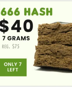 666 Hash